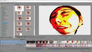 FANS SCHNEIDEN MEIN VIDEO (...es wurde wild)