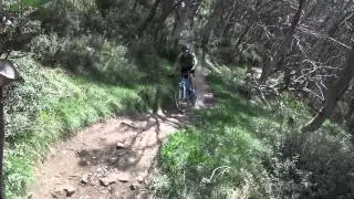 Bike Buller - Moustache Ride
