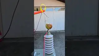 Apple vs 1000V Power ⚡🔥 | Shocking Result! 😱 #Shorts #experiment #science