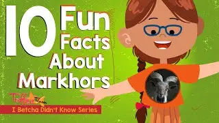 Toffee TV | 10 Facts About Markhors I Betcha Didn't Know | Kids Education | Fun Facts