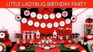 Little Ladybug Birthday Party Ideas // Little Ladybug - B89
