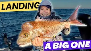Landing a BIG One - SNAPPER!