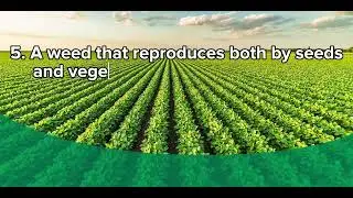 Day 3 Crop Protection-Weed Science 