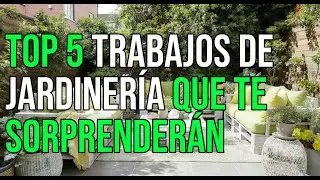 🌸 TOP 5 TRABAJOS DE JARDINERÍA QUE TE SORPRENDERÁN | Ideas Creativas de Jardinería y Paisajismo 🌱✨