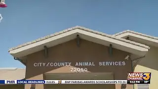 Riverside County Department of Animal Services releases 2024 annual report