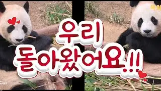 2026.01.19. 러아부부 첫타임 영상입니다.^^