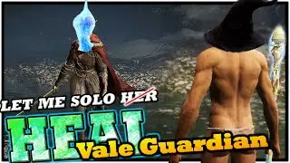 Let Me Solo Heal - VALE GUARDIAN - Guild Wars 2