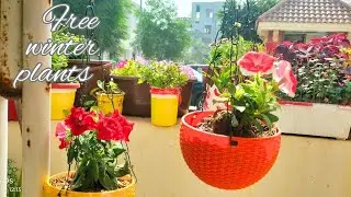 Prepare Free  winter season plants from cutting and spending flowers !