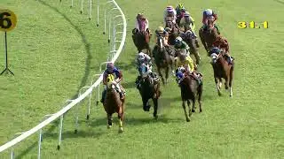 Race no : 157 - Timeless Romance wins The Tintinnabulation Handicap