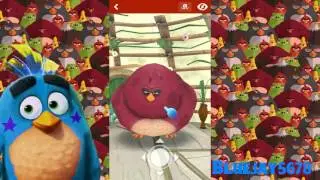 Angry Birds Action Gameplay