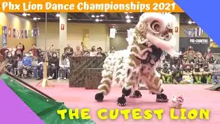 Houston Lion Kings - Team Black - Phoenix Lion Dance Championships 2021