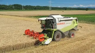 MOISSON 2021 avec une CLAAS Lexion 520
