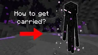 How to get carried on T4 Voidgloom Seraphs | Hypixel Skyblock