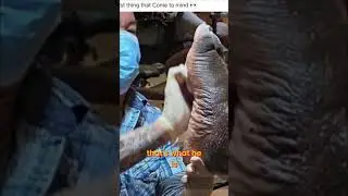 Is THAT Athlete's Foot?! Gross Feet Podcast Speculation! #shorts
