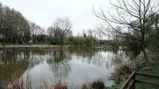 [4K] Relaxing lake views and bird sounds  | 🇹🇷 Turkey Bursa Botanical Park