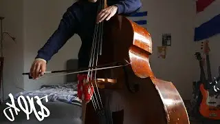 My year of DOUBLE BASS progress