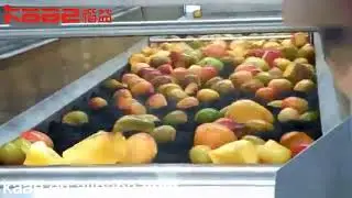 Mango Pulp Processing Line by Jiangsu Kaiyi,China