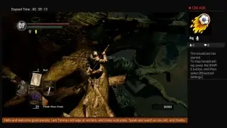 FormalKnave's Dark Souls Remastered Expedition: Part 5, Star Whores