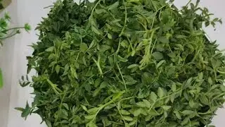 जब भी मैं यह साग बनाती हूं मेरे घर में कोई सब्जी खाता ही नहीं है ,बेटा भी बहुत पसंद से खाता है 😋