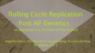Rolling Circle Replication WITHOUT MUSIC