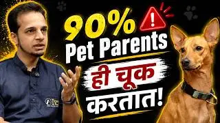 Ep 127 : Mihir And Kiwi | PET GROOMING मध्ये करियरच्या संधी !