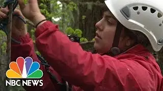 Oregon Activists Vow To Live In Trees To Protect Them | NBC News