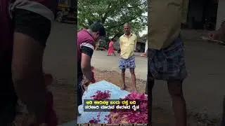 ಆಡಿ ಕಾರಿನಲ್ಲಿ ಬಂದು ರಸ್ತೆ ಬದಿ ತರಕಾರಿ ಮಾರುವ ಕೇರಳದ ರೈತ |  Video Viral | Udayavani
