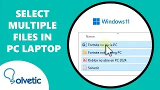 Select Multiple Files in PC Laptop
