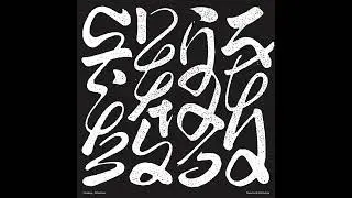 Mark Fell & Will Guthrie - Diffractions 2