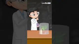 Easy Explanation of Joseph Priestley Experiment By Rahi Sir | Biology Experiment #shorts