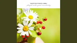 Kind heart