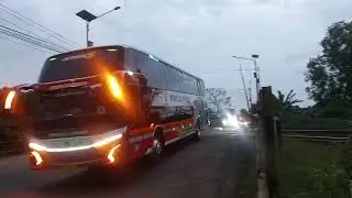 Bus Rosalia indah jetbus 5 