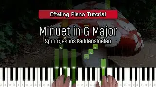 Paddenstoelen in het Sprookjesbos - Minuet in G Major - Efteling Piano Tutorial