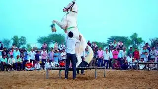 Horse Dance इतना Smooth कि Blippi भी फैन बन गया