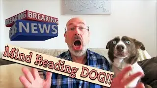 My Dog Can Read YOUR MIND!!
