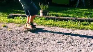 FS Bigspin