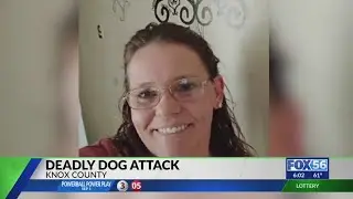 Knox County woman dies after pack of dogs attack her