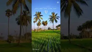 Slow motion - Amaria BB | Lyrics| aesthetic|WhatsApp status| English song | Slowed |Speed up 🌼