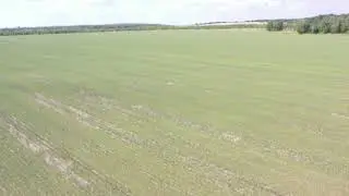SCR10 21 07 2021