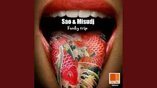 Funky trip (Original Mix)