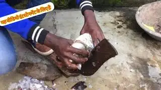 Pleasing knife skills of cutting Rohu fish expert fish cutter