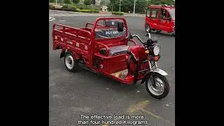 2023 Best Electric Cargo Bike | 1000W Electric Tricycle