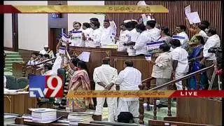 YCP MLAs continue ruckus on final day of AP Assembly - TV9