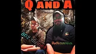 Q and A ( part 1)