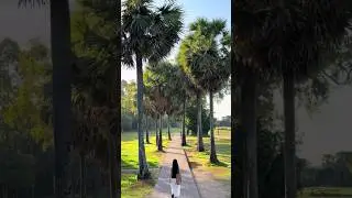 ចំប៉ីសៀមរាប #angkorwat #temple #khmertemple #amazing #shorts #youtubeshorts #siemreap #cambodia
