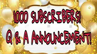 THANK YOU FOR 1000 SUBSCRIBERS! Q & A ANNOUNCEMENT // The Tiny Pandora Box