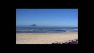 Caminhos do skimboard jureia litoral norte sp
