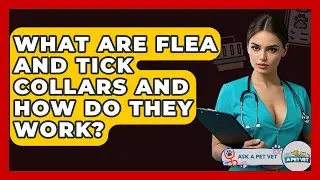 What Are Flea And Tick Collars And How Do They Work? - Ask A Pet Vet