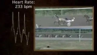 Heart of the Horse (part 1)