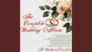 Adagio Cantabile and Minuet for 2 Violins and Cello, H. 11/D1